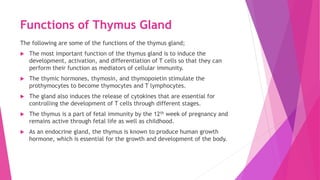 Functions of Thymus Gland
The following are some of the functions of the thymus gland;
 The most important function of the thymus gland is to induce the
development, activation, and differentiation of T cells so that they can
perform their function as mediators of cellular immunity.
 The thymic hormones, thymosin, and thymopoietin stimulate the
prothymocytes to become thymocytes and T lymphocytes.
 The gland also induces the release of cytokines that are essential for
controlling the development of T cells through different stages.
 The thymus is a part of fetal immunity by the 12th week of pregnancy and
remains active through fetal life as well as childhood.
 As an endocrine gland, the thymus is known to produce human growth
hormone, which is essential for the growth and development of the body.
 