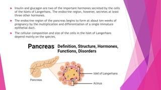  Insulin and glucagon are two of the important hormones secreted by the cells
of the Islets of Langerhans. The endocrine region, however, secretes at least
three other hormones.
 The endocrine region of the pancreas begins to form at about ten weeks of
pregnancy by the multiplication and differentiation of a single immature
epithelial duct.
 The cellular composition and size of the cells in the Islet of Langerhans
depend mainly on the species.
 