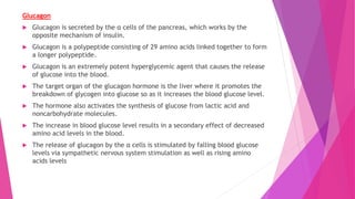 Glucagon
 Glucagon is secreted by the α cells of the pancreas, which works by the
opposite mechanism of insulin.
 Glucagon is a polypeptide consisting of 29 amino acids linked together to form
a longer polypeptide.
 Glucagon is an extremely potent hyperglycemic agent that causes the release
of glucose into the blood.
 The target organ of the glucagon hormone is the liver where it promotes the
breakdown of glycogen into glucose so as it increases the blood glucose level.
 The hormone also activates the synthesis of glucose from lactic acid and
noncarbohydrate molecules.
 The increase in blood glucose level results in a secondary effect of decreased
amino acid levels in the blood.
 The release of glucagon by the α cells is stimulated by falling blood glucose
levels via sympathetic nervous system stimulation as well as rising amino
acids levels
 