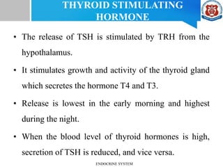 THYROID STIMULATING
HORMONE
• The release of TSH is stimulated by TRH from the
hypothalamus.
• It stimulates growth and activity of the thyroid gland
which secretes the hormone T4 and T3.
• Release is lowest in the early morning and highest
during the night.
• When the blood level of thyroid hormones is high,
secretion of TSH is reduced, and vice versa.
ENDOCRINE SYSTEM
 