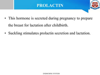 PROLACTIN
• This hormone is secreted during pregnancy to prepare
the breast for lactation after childbirth.
• Suckling stimulates prolactin secretion and lactation.
ENDOCRINE SYSTEM
 