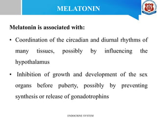 Melatonin is associated with:
• Coordination of the circadian and diurnal rhythms of
many tissues, possibly by influencing the
hypothalamus
• Inhibition of growth and development of the sex
organs before puberty, possibly by preventing
synthesis or release of gonadotrophins
MELATONIN
ENDOCRINE SYSTEM
 