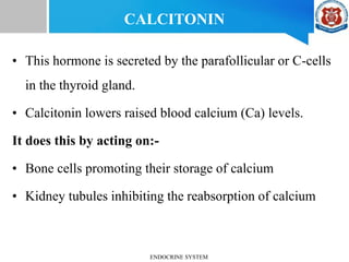 CALCITONIN
• This hormone is secreted by the parafollicular or C-cells
in the thyroid gland.
• Calcitonin lowers raised blood calcium (Ca) levels.
It does this by acting on:-
• Bone cells promoting their storage of calcium
• Kidney tubules inhibiting the reabsorption of calcium
ENDOCRINE SYSTEM
 