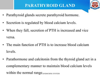 • Parathyroid glands secrete parathyroid hormone.
• Secretion is regulated by blood calcium levels.
• When they fall, secretion of PTH is increased and vice
versa.
• The main function of PTH is to increase blood calcium
levels.
• Parathormone and calcitonin from the thyroid gland act in a
complementary manner to maintain blood calcium levels
within the normal range.
PARATHYROID GLAND
ENDOCRINE SYSTEM
 
