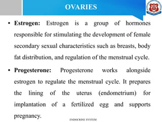 • Estrogen: Estrogen is a group of hormones
responsible for stimulating the development of female
secondary sexual characteristics such as breasts, body
fat distribution, and regulation of the menstrual cycle.
• Progesterone: Progesterone works alongside
estrogen to regulate the menstrual cycle. It prepares
the lining of the uterus (endometrium) for
implantation of a fertilized egg and supports
pregnancy.
OVARIES
ENDOCRINE SYSTEM
 