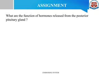 What are the function of hormones released from the posterior
pituitary gland ?
ASSIGNMENT
ENDOCRINE SYSTEM
 