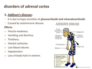 The Endocrine System: Hormones and Their Role in Body Regulation | PPTX