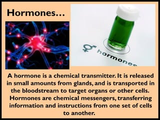 Hormones…
A hormone is a chemical transmitter. It is released
in small amounts from glands, and is transported in
the bloodstream to target organs or other cells.
Hormones are chemical messengers, transferring
information and instructions from one set of cells
to another.
 
