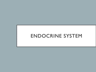 ENDOCRINE SYSTEM
 