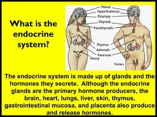 What is the
endocrine
system?
The endocrine system is made up of glands and the
hormones they secrete. Although the endocrine
glands are the primary hormone producers, the
brain, heart, lungs, liver, skin, thymus,
gastrointestinal mucosa, and placenta also produce
and release hormones.
 