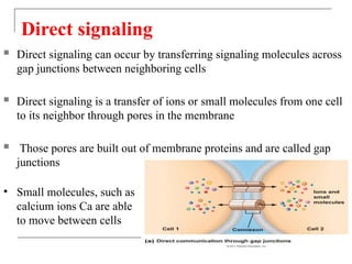 Endocrine System Physiology and different harmoes in human body. | PPTX