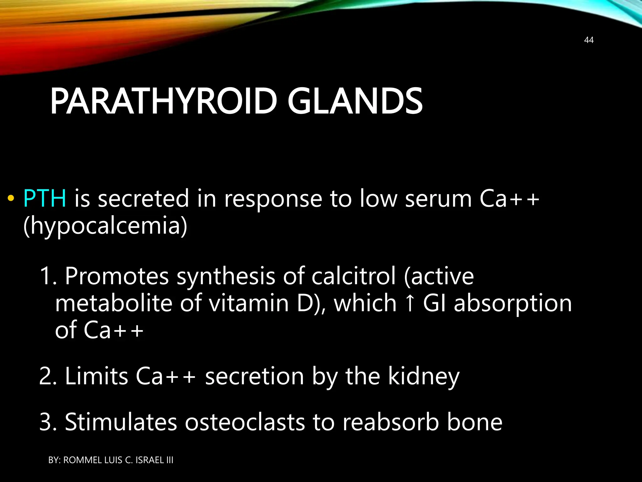 ENDOCRINE SYSTEM - ANATOMY AND PHYSIOLOGY | PPT