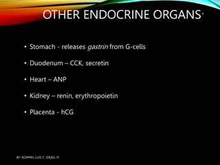 ENDOCRINE SYSTEM - ANATOMY AND PHYSIOLOGY | PPT