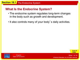 Section 18.1 The Endocrine System
Slide 1 of 18
• The endocrine system regulates long-term changes
in the body such as growth and development.
What Is the Endocrine System?
• It also controls many of your body’s daily activities.
 
