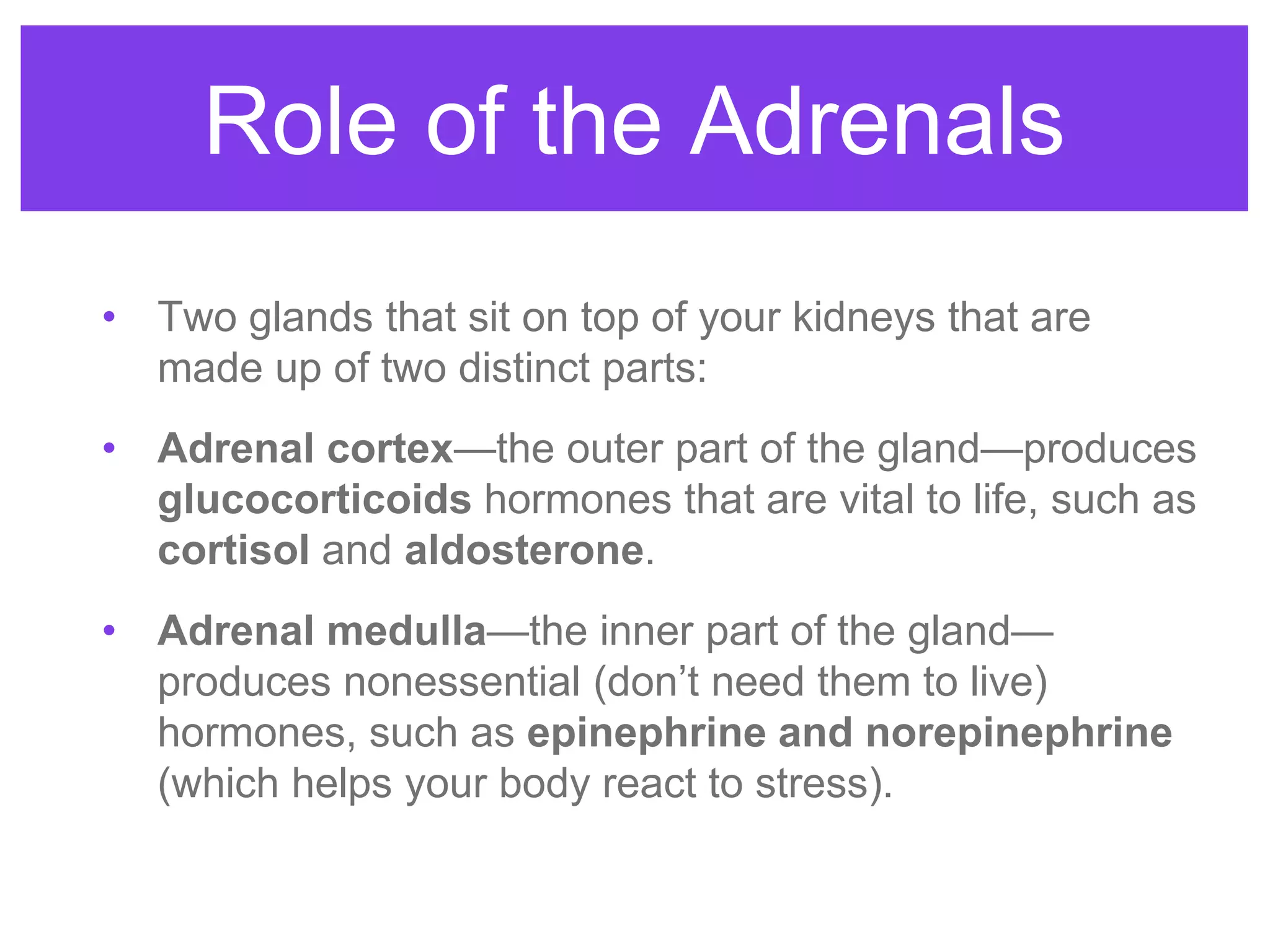 Role of the Adrenals
• Two glands that sit on top of your kidneys that are
made up of two distinct parts:
• Adrenal cortex—the outer part of the gland—produces
glucocorticoids hormones that are vital to life, such as
cortisol and aldosterone.
• Adrenal medulla—the inner part of the gland—
produces nonessential (don’t need them to live)
hormones, such as epinephrine and norepinephrine
(which helps your body react to stress).
 