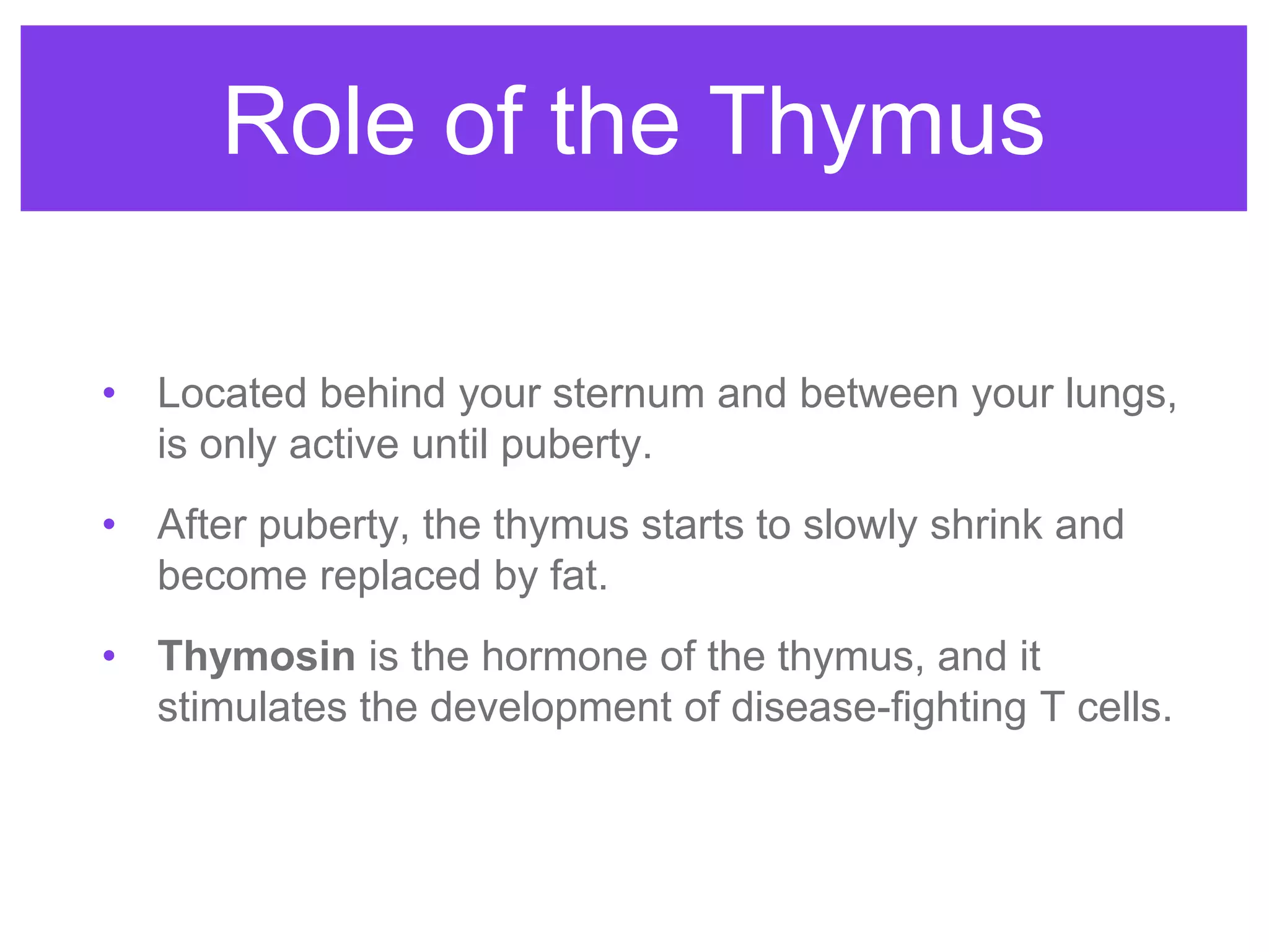 Role of the Thymus
• Located behind your sternum and between your lungs,
is only active until puberty.
• After puberty, the thymus starts to slowly shrink and
become replaced by fat.
• Thymosin is the hormone of the thymus, and it
stimulates the development of disease-fighting T cells.
 