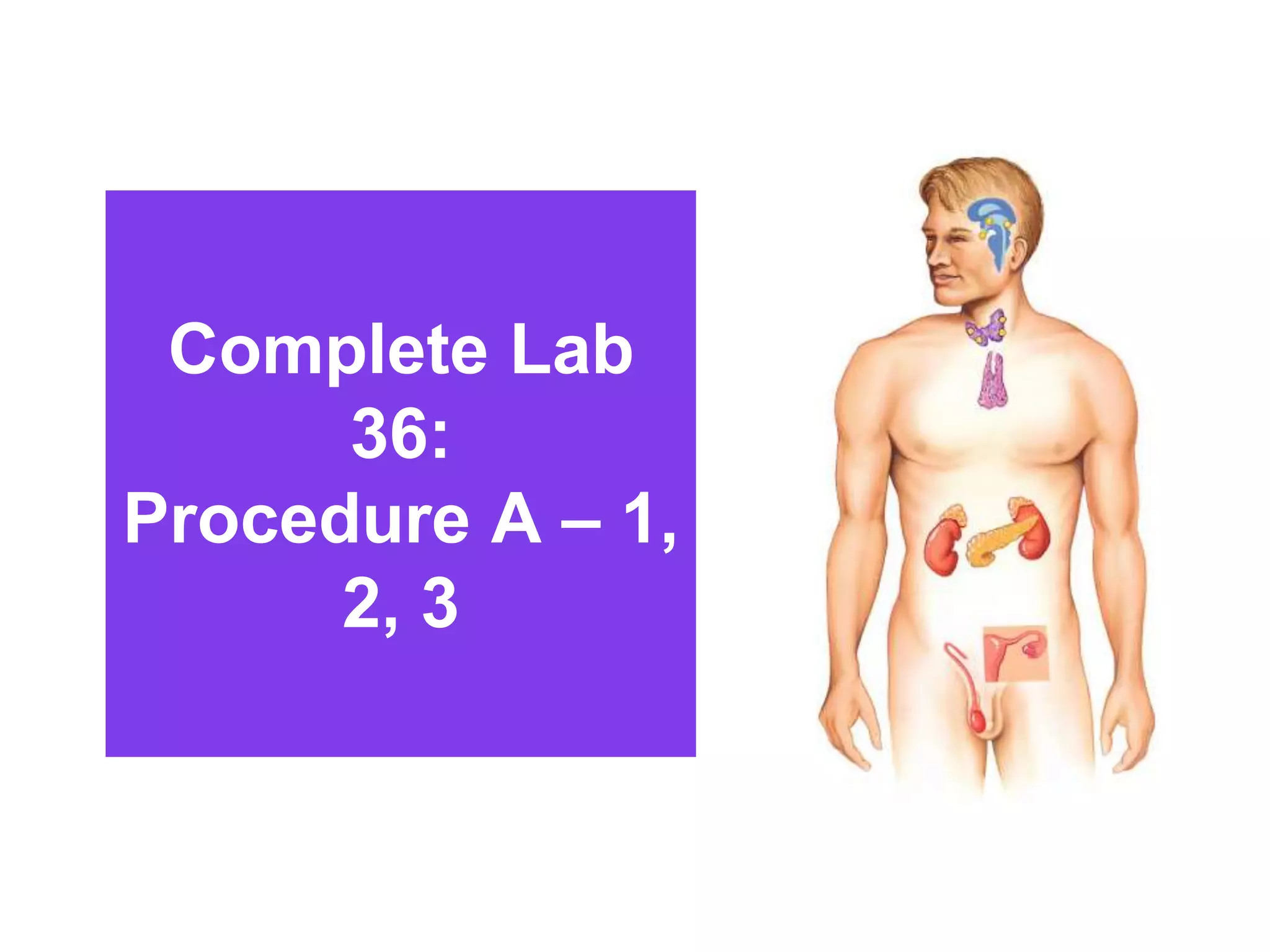 Complete Lab
36:
Procedure A – 1,
2, 3
 