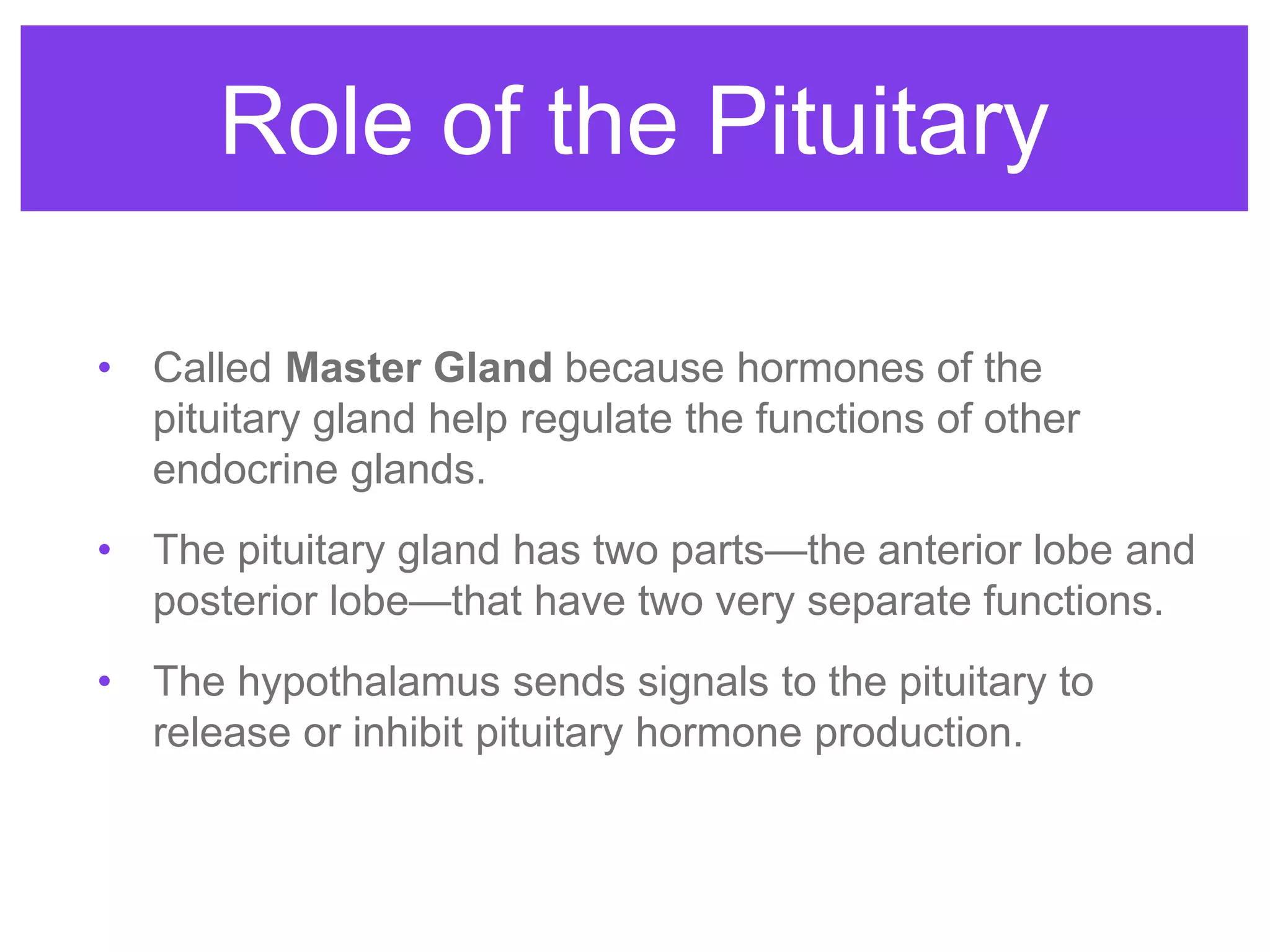 Role of the Pituitary
• Called Master Gland because hormones of the
pituitary gland help regulate the functions of other
endocrine glands.
• The pituitary gland has two parts—the anterior lobe and
posterior lobe—that have two very separate functions.
• The hypothalamus sends signals to the pituitary to
release or inhibit pituitary hormone production.
 