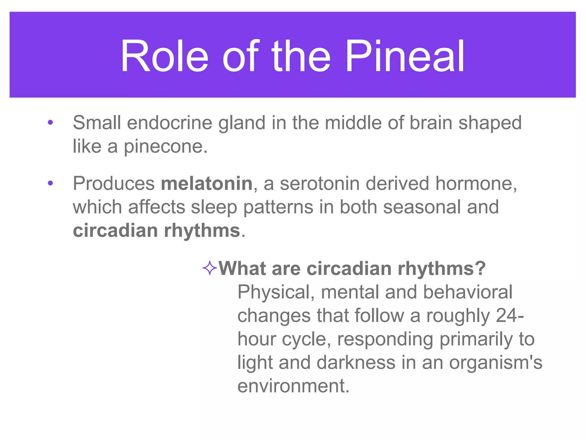 Role of the Pineal
• Small endocrine gland in the middle of brain shaped
like a pinecone.
• Produces melatonin, a serotonin derived hormone,
which affects sleep patterns in both seasonal and
circadian rhythms.
What are circadian rhythms?
Physical, mental and behavioral
changes that follow a roughly 24-
hour cycle, responding primarily to
light and darkness in an organism's
environment.
 