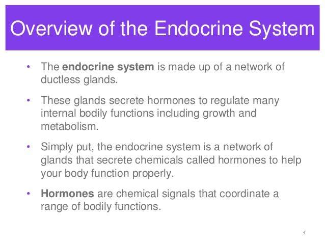 Endocrine system overview - HS Anatomy and Physiology