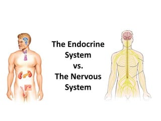 The Endocrine
System
vs.
The Nervous
System
 