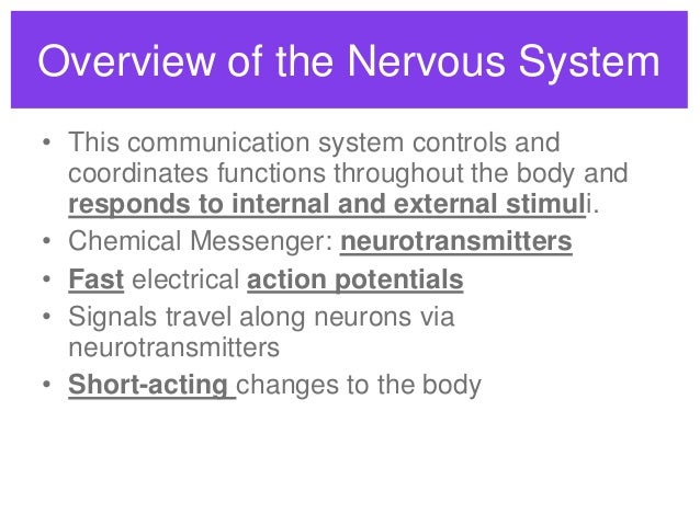 Comparative Functions Of Nervous And Endocrine Systems Chart
