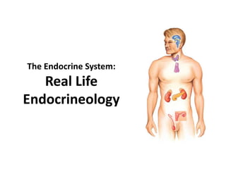 The Endocrine System:
Real Life
Endocrineology
 