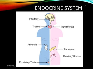 ENDOCRINE SYSTEM: REVIEW OF THE PATHOPHYSIOLOGY | PPT