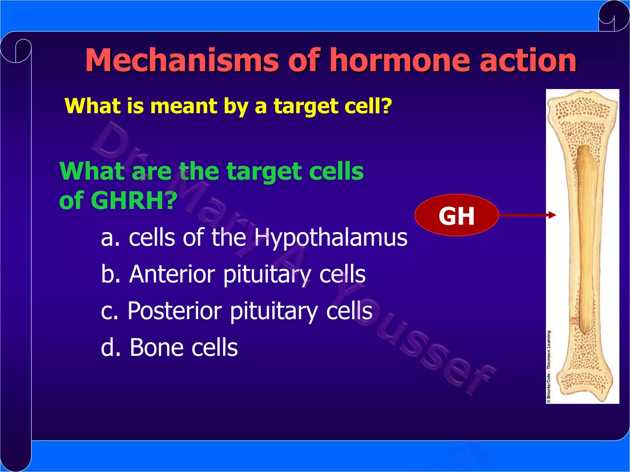 Mechanisms of hormone action
What is meant by a target cell?

What are the target cells
of GHRH?
a. cells of the Hypothalamus
b. Anterior pituitary cells

c. Posterior pituitary cells
d. Bone cells

GH

 