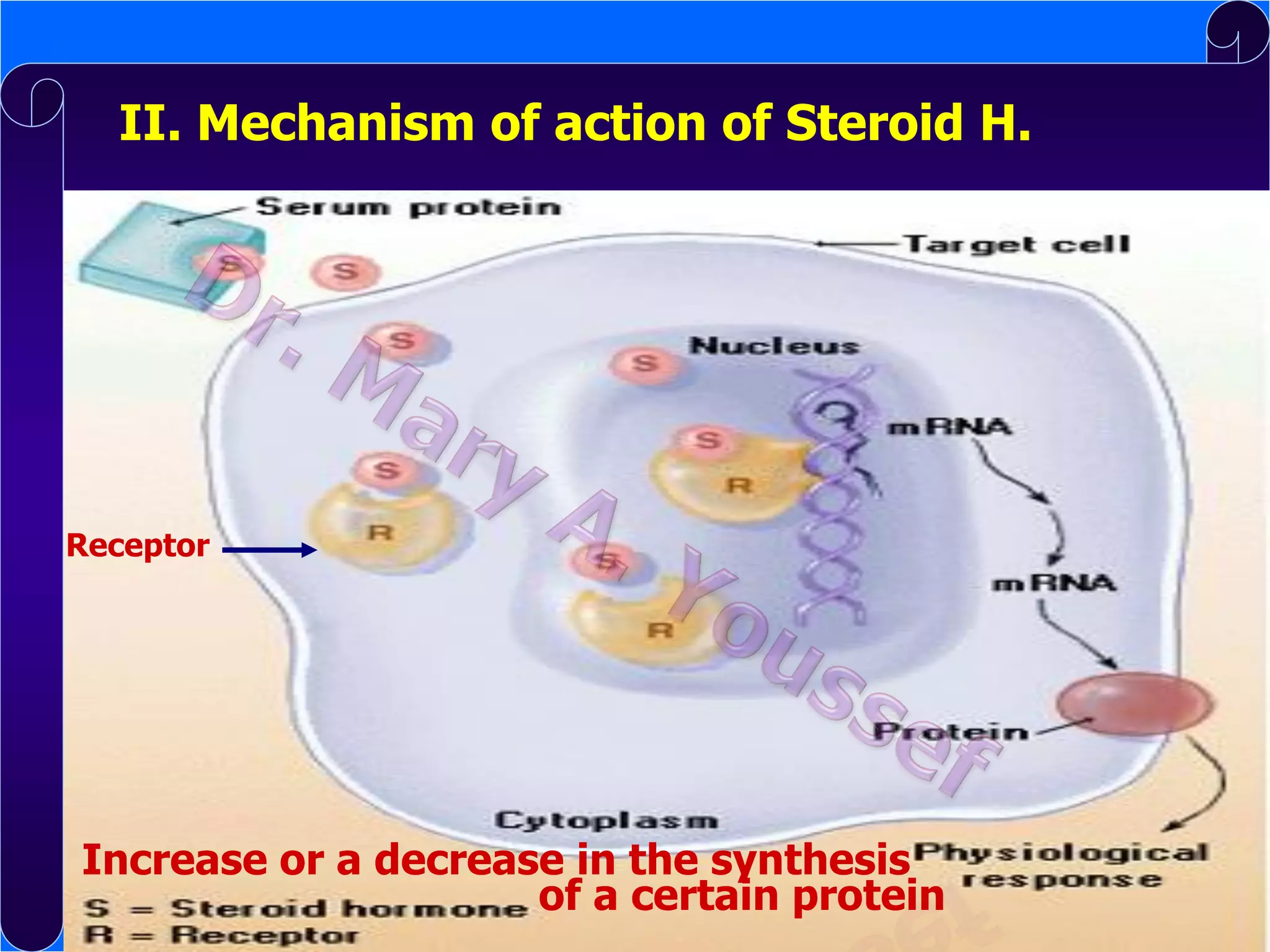 II. Mechanism of action of Steroid H.

Receptor

Increase or a decrease in the synthesis
of a certain protein

 
