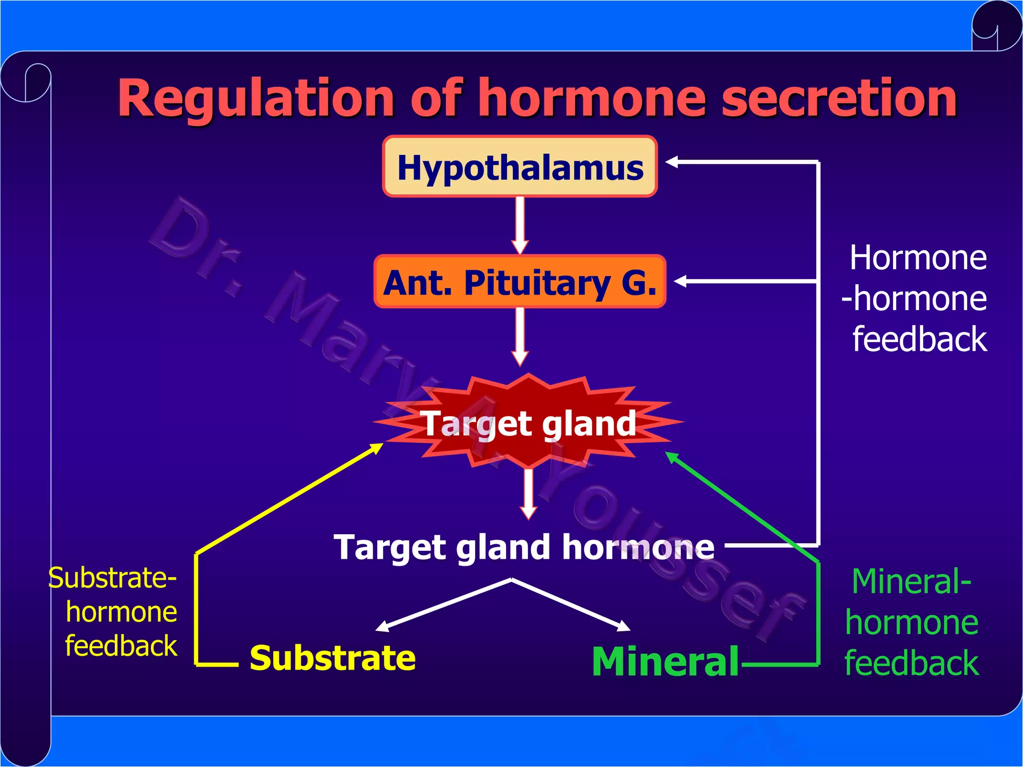 Regulation of hormone secretion
Hypothalamus
Ant. Pituitary G.

Hormone
-hormone
feedback

Target gland

Substratehormone
feedback

Target gland hormone
Substrate

Mineral

Mineralhormone
feedback

 