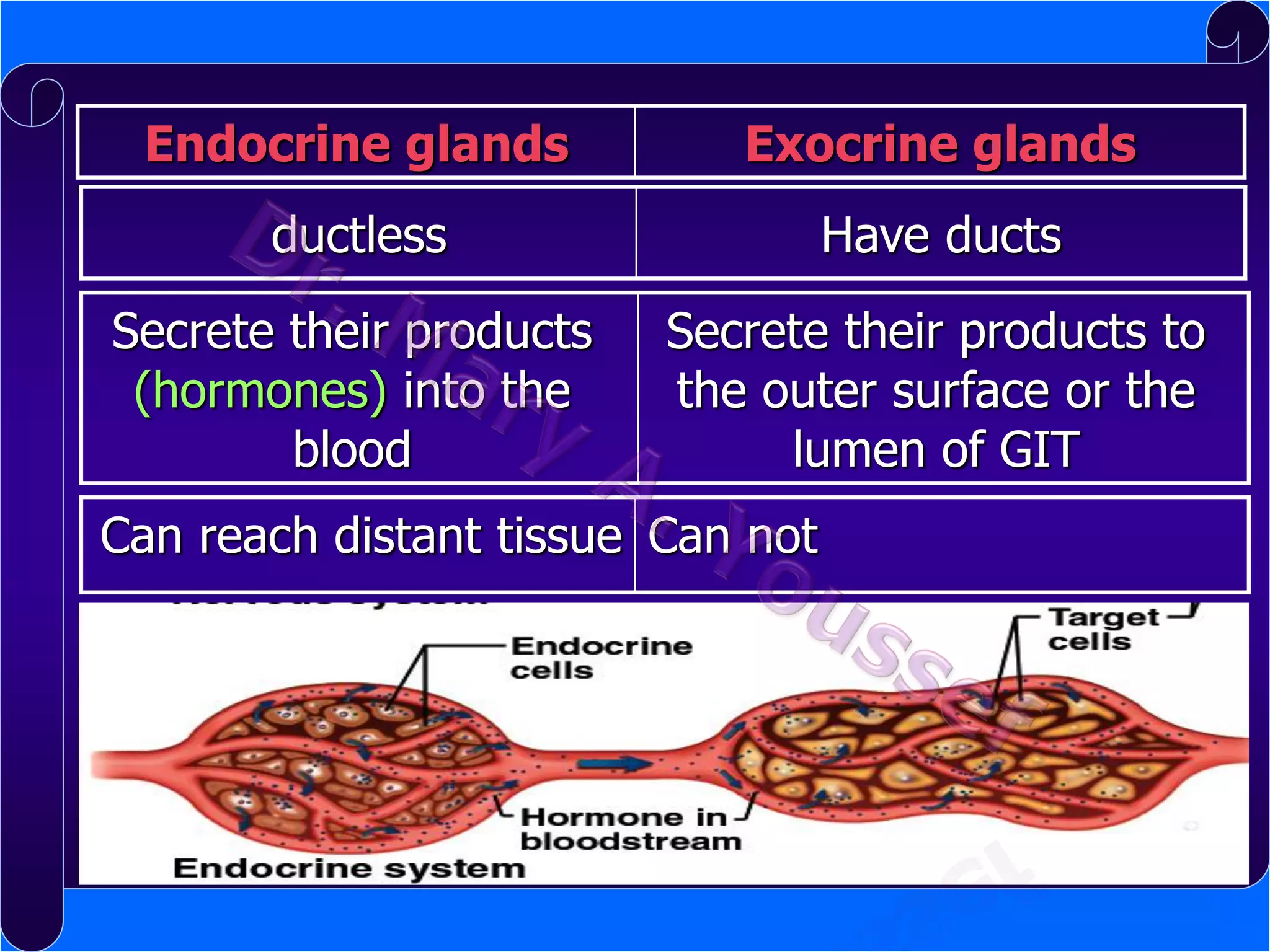 Endocrine glands

Exocrine glands

ductless

Have ducts

Secrete their products
(hormones) into the
blood

Secrete their products to
the outer surface or the
lumen of GIT

Can reach distant tissue Can not

 