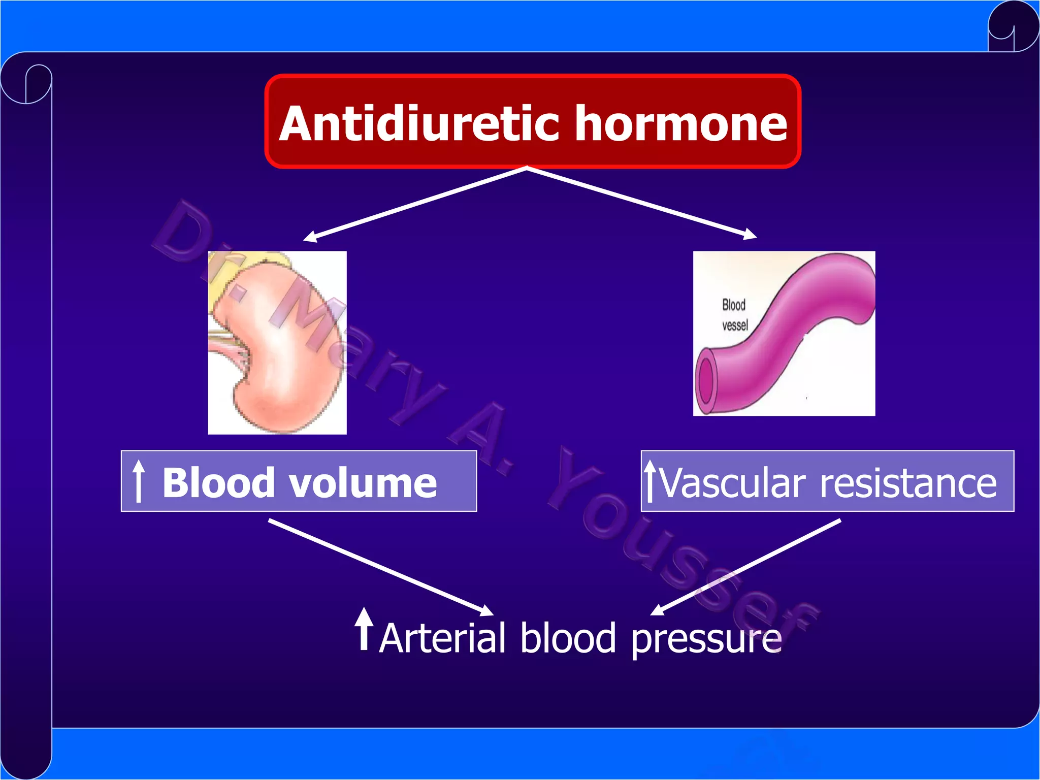 Antidiuretic hormone

Blood volume

Vascular resistance

Arterial blood pressure

 