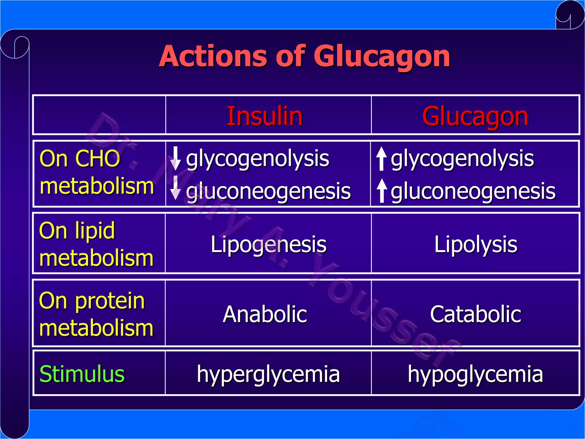 Actions of Glucagon
Insulin

Glucagon

On CHO
metabolism

glycogenolysis
gluconeogenesis

glycogenolysis
gluconeogenesis

On lipid
metabolism

Lipogenesis

Lipolysis

On protein
metabolism

Anabolic

Catabolic

hyperglycemia

hypoglycemia

Stimulus

 