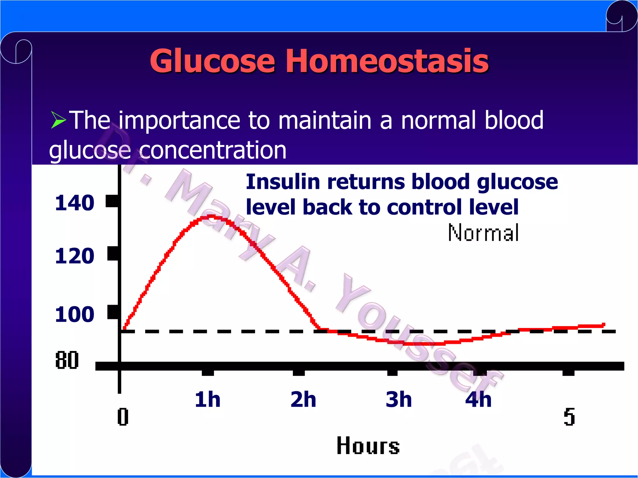 Glucose Homeostasis
The importance to maintain a normal blood
glucose concentration
Insulin returns blood glucose
Body response to ingestion of a meal (high
140
level back to control level

glucose)
120
100

1h

2h

3h

4h

 