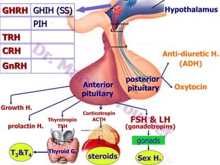 GHRH GHIH (SS)

Hypothalamus

PIH
TRH
CRH

Anti-diuretic H.
(ADH)

GnRH
Anterior
pituitary
Growth H.
prolactin H.

Thyrotropin
TSH

Corticotropin
ACTH

posterior
pituitary

FSH & LH

(gonadotropins)

gonads
T3&T4

Thyroid G.

Oxytocin

steroids

Sex H.

 