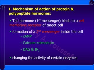 I. Mechanism of action of protein &
polypeptide hormones:

 The hormone (1ry messenger) binds to a cell
membrane receptor of target cell
 formation of a 2nd messenger inside the cell
- cAMP
- Calcium-calmodulin
- DAG & IP3
 changing the activity of certain enzymes

 