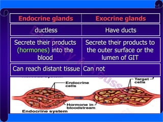 Endocrine glands

Exocrine glands

ductless

Have ducts

Secrete their products
(hormones) into the
blood

Secrete their products to
the outer surface or the
lumen of GIT

Can reach distant tissue Can not

 