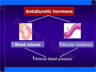 Antidiuretic hormone

Blood volume

Vascular resistance

Arterial blood pressure

 