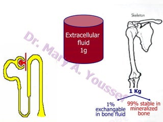 Diet 1g
175 mg

8
Extracellular
fluid
1g
10 g
filtered/day
1 Kg
175 mg

99% stable in
1%
exchangable mineralized
bone
in bone fluid

 