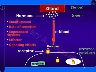 (Sender)

Gland
Hormone

(signal)

 Small amount
 Rate of secretion

blood

 Superadded
rhythms
 Effector
 Opposing effects

receptor
Target cell

Hormone

(receiver &
transducer)

 