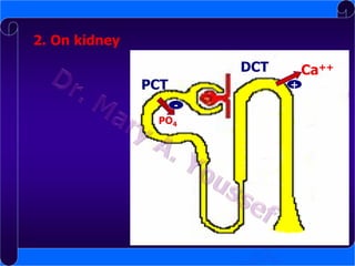 2. On kidney
DCT
PCT

Ca++
+

-

PO4

 