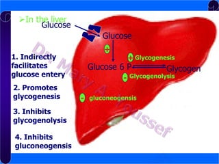 In the liver
Glucose
Glucose
1. Indirectly
facilitates
glucose entery
2. Promotes
glycogenesis
3. Inhibits
glycogenolysis

4. Inhibits
gluconeogensis

+

+ Glycogenesis

Glucose 6 P

Glycogen

- Glycogenolysis
- gluconeogensis

 