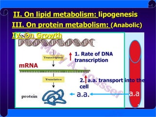 II. On lipid metabolism: lipogenesis
III. On protein metabolism: (Anabolic)
IV. On Growth

mRNA

1. Rate of DNA
transcription

2. a.a. transport into the
cell

a.a.

a.a
.

 