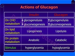 Actions of Glucagon
Insulin

Glucagon

On CHO
metabolism

glycogenolysis
gluconeogenesis

glycogenolysis
gluconeogenesis

On lipid
metabolism

Lipogenesis

Lipolysis

On protein
metabolism

Anabolic

Catabolic

hyperglycemia

hypoglycemia

Stimulus

 