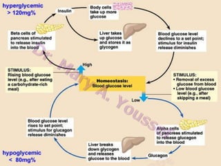 Mechanisms controlling blood
glucose concentration
1. Glucostatic function of the liver
 Glycogenesis (after meals)
 Glycogenolysis (between meals)
 Gluconeogenesis (during fasting)

2. Hormonal Mechanism
Both insulin & glucagon function as important
feedback control systems to maintain a normal
blood glucose level

 