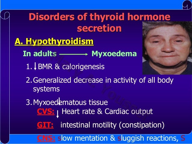 endocrine system physiology The endocrine system is a collection of glands and organs that produce and regulate hormones the major glands in the endocrine have advanced physiology,. endocrine system physiology The endocrine system is a collection of glands and organs that produce and regulate hormones the major glands in the endocrine have advanced physiology,.