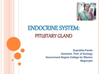 ENDOCRINE SYSTEM:
PITUITARY GLAND
Suprabha Panda
Assistant Prof. of Zoology
Government Degree College for Women
Begumpet
 
