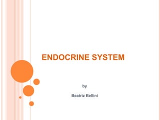 ENDOCRINE SYSTEM byBeatriz Bellini 