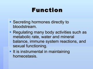 Function Secreting hormones directly to bloodstream. Regulating many body activities such as metabolic rate, water and mineral balance, immune system reactions, and sexual functioning. It is instrumental in maintaining homeostasis. 